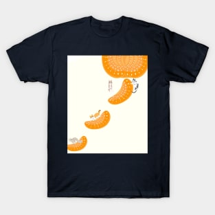 Cat and orange boat T-Shirt